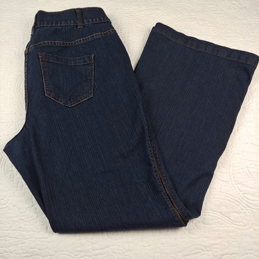 Lane Bryant Tighter Tummy Jeans